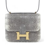 Constance Mini 19 Ombre Lizard
