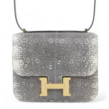 Constance Mini 19 Ombre Lizard