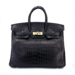 Birkin 25 Noir Matte Porosus Crocodile